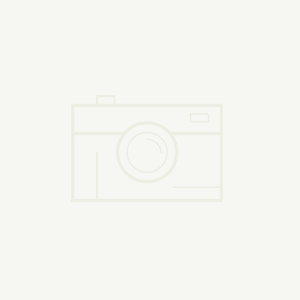 瓊中縣委縣政府親商愛商換來以商引商-兆南城